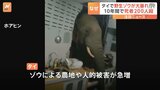 「この地区には100頭のゾウが来ました」タイの“象徴”ゾウによる被害急増 約10年で221人死亡|TBS NEWS DIG
