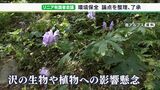 「代償措置ありきの議論しないで」リニア工事めぐる環境保全の論点整理で森静岡県副知事が要望 国の有識者会議で | 静岡のニュース | SBSNEWS | 静岡放送