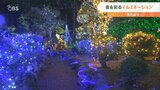 寒い冬の夜を明るく彩る 「イルミネーション」や「ライトアップ」大分 | 大分のニュース|OBS NEWS|大分放送