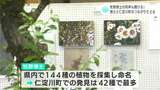 牧野富太郎博士の肉声も聞ける!牧野博士と仁淀川町のつながりをたどる展示会【高知】 | 高知のニュース・天気|KUTV NEWS | KUTVテレビ高知