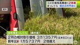 2024年秋に収穫された青森県産米「まっしぐら」相対取引価格が過去最高値 前年比2倍以上に | 青森のニュース│ATV NEWS│青森テレビ