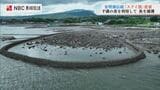 諫早 水ノ浦のスクイ漁場 有明海の干満の差を利用して魚を捕る伝統の漁法 | 長崎のニュース | 天気 | NBC長崎放送