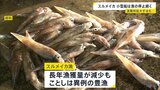 「スルメイカ」 漁獲枠拡大でも漁獲量が枠超え　小型船は漁の停止命令続く|TBS NEWS DIG