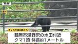 きょうもクマの目撃相次ぐ　市街地や民家に近い場所も（山形）　|　山形のニュース│TUYテレビユー山形