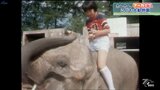 世界の動物120種類 1972年9月 盛岡で「IBCこども大動物園」開催 2年後にも【ホレホレアーカイブ】 | IBC NEWS | IBC岩手放送