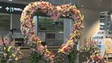 「花を贈って感謝の気持ちを」富山駅が1000本の花で華やかに　バレンタインデーに合わせたイベント　|　富山のニュース｜天気・防災｜チューリップテレビ