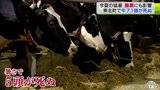 猛暑の影響で死んだ牛が“増加”　搾乳量にも変化…月400万円ほどの減収　生産者に打撃|TBS NEWS DIG
