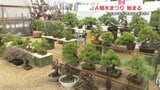 ＪＡ植木まつり始まる　盆栽や果樹の苗が人気　揚げたての芋天ぷらに鮎の塩焼きも・・|TBS NEWS DIG