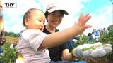 【山形】「食べたら止まらなくる」秋の味覚「秘伝豆」のもぎとり収穫祭に大勢の人|TBS NEWS DIG