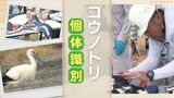 希少なコウノトリに「足輪」を装着、個体識別し生態を把握~獣医師など40人がかり | 福岡のニュース|RKB NEWS|RKB毎日放送