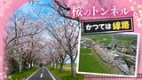 廃線に整備された５キロの“桜のトンネル”が見頃を迎える　|　福岡のニュース｜RKB NEWS｜RKB毎日放送