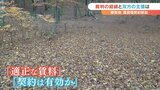 県有地の賃貸借契約を巡る裁判　山梨県が全面敗訴　これまでの経緯と県と富士急行、双方の主張とは　|　山梨のニュース | ＵＴＹテレビ山梨