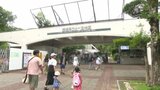 「ライオンを近くで見られてよかった。暑くてバテてた」夏休み中の子どもたちで人気 とべ動物園 愛媛県 | 愛媛のニュース - Nスタえひめ|あいテレビは6チャンネル