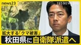 人間とクマの境界はどこへ…首都圏でも出没　ツキノワグマ出没件数は“過去最多ペース” 拡大する「クマ被害」5日にも秋田県に自衛隊派遣へ【news23】|TBS NEWS DIG