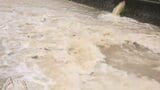 四国中央市に一時「レベル4大雨危険警報」 9日夕方にかけて大気の非常に不安定な状態が続く見込み 愛媛 | 愛媛のニュース - Nスタえひめ|あいテレビは6チャンネル