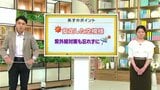 高知の天気　15日　安定した晴れ続く　山岸拓気象予報士が解説|TBS NEWS DIG