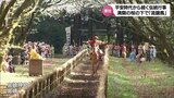 満開の桜が咲き誇る下で 五穀豊穣を願い 宮崎神宮で恒例の「流鏑馬」 |TBS NEWS DIG