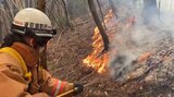 【山火事】岩手県大船渡市の山林火災 消火を妨げているのは?|TBS NEWS DIG