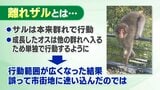 離れざるを得なかった?「離れ猿」に注意! ポイントは「目を合わせない」 | 福島のニュース│TUF