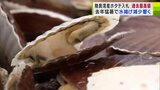 「やはり品不足」昨夏の猛暑で水揚げ減　陸奥湾ホタテ過去最高値を更新　|　青森のニュース│ATV NEWS│青森テレビ