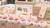 会場の約4割が初出展! 中部4県の特産品が集まる「バイ・山の洲物産展」静岡伊勢丹で開幕=静岡市|TBS NEWS DIG