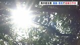 「この時間でこの暑さはやばい」すでに各地で真夏日 福島、会津若松では“猛暑日”予想 福島 | 福島のニュース│TUF
