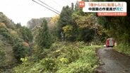 「同僚が橋から…」　樹木の伐採作業の中国人男性　堰堤から転落し死亡　富山　|　富山のニュース｜天気・防災｜チューリップテレビ