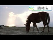 3日間しか開けない社務所でレアな御朱印も　午年に訪れたい馬ゆかりの神社　|　MRTニュース ｜ ＭＲＴ宮崎放送