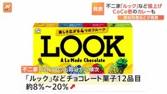 不二家「カントリーマアム」など“実質値上げ”へ　CoCo壱もポークカレーなど値上げへ| TBS CROSS DIG with Bloomberg