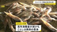 「スルメイカ」 漁獲枠拡大でも漁獲量が枠超え　小型船は漁の停止命令続く| TBS CROSS DIG with Bloomberg
