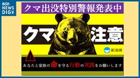 宿泊施設の駐車場で宿泊客の男性がクマに襲われ軽傷 新潟・湯沢町|TBS NEWS DIG