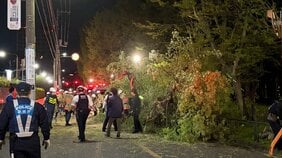 東京・世田谷区大蔵で倒木　砧公園前の道路をふさぐもけが人はなし　木の切断撤去作業進む　警視庁|TBS NEWS DIG