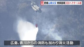 愛媛・今治市の山林火災 3848世帯に避難指示拡大 広島・香川の消防も加わり消火活動続く|TBS NEWS DIG