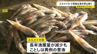 「スルメイカ」 漁獲枠拡大でも漁獲量が枠超え　小型船は漁の停止命令続く| TBS CROSS DIG with Bloomberg