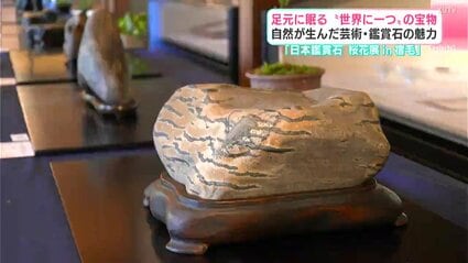 足元に眠る“世界に一つ”の宝物 自然が産んだ芸術・鑑賞石の魅力 高知は