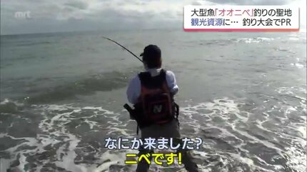 全国でも珍しい砂浜からの「オオニベ」釣り 180人が挑んだ聖地で1