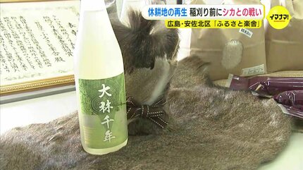 稲刈りを前に鹿との戦い 電気柵も飛び越えて侵入 休耕地の再生に
