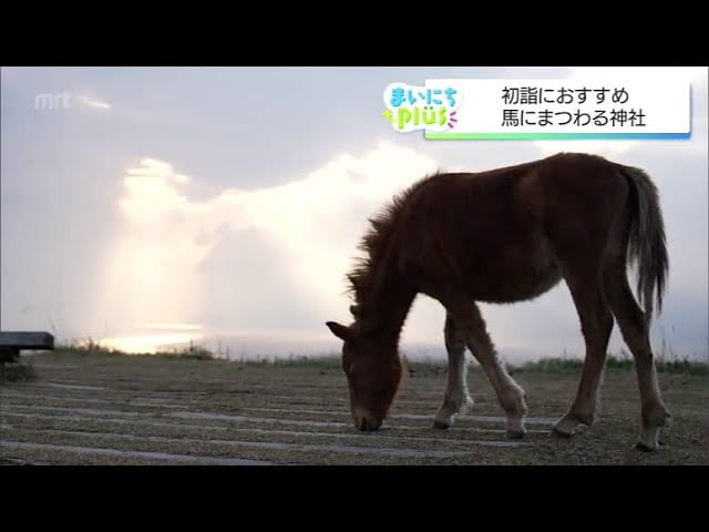 3日間しか開けない社務所でレアな御朱印も　午年に訪れたい馬ゆかりの神社　|　MRTニュース ｜ ＭＲＴ宮崎放送