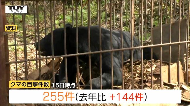 鶴岡市ではすでに去年1年間の目撃件数上回る...県内でクマの目撃情報相次ぐ 県は「クマ出没注意報」発令(山形)|TBS NEWS DIG