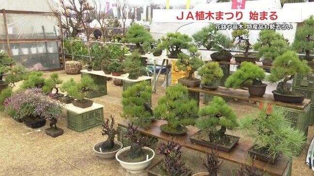 ＪＡ植木まつり始まる　盆栽や果樹の苗が人気　揚げたての芋天ぷらに鮎の塩焼きも・・|TBS NEWS DIG
