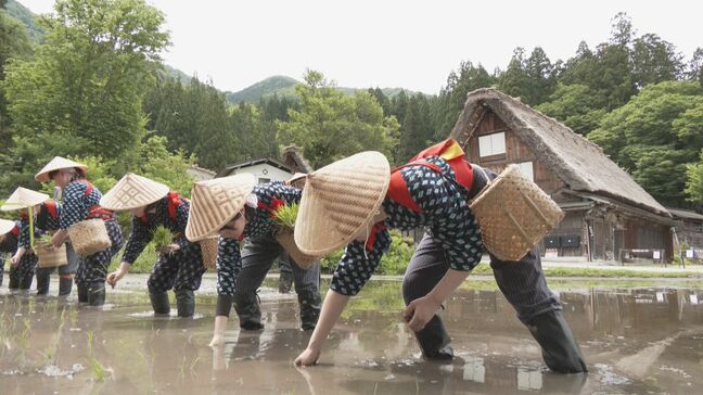 世界遺産 白川郷で田植え祭り “田植え唄”が響きわたる中 早乙女姿の女性たちがコシヒカリの苗を丁寧に 岐阜|TBS NEWS DIG