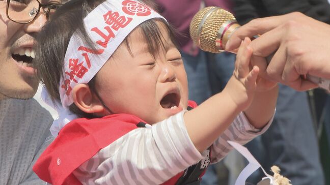 「泣いて泣いてのこった」　赤ちゃんの泣き相撲大会　健やかな成長を願う　山口・下関|TBS NEWS DIG