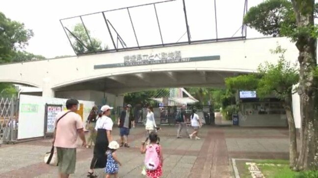 「ライオンを近くで見られてよかった。暑くてバテてた」夏休み中の子どもたちで人気 とべ動物園 愛媛県|TBS NEWS DIG