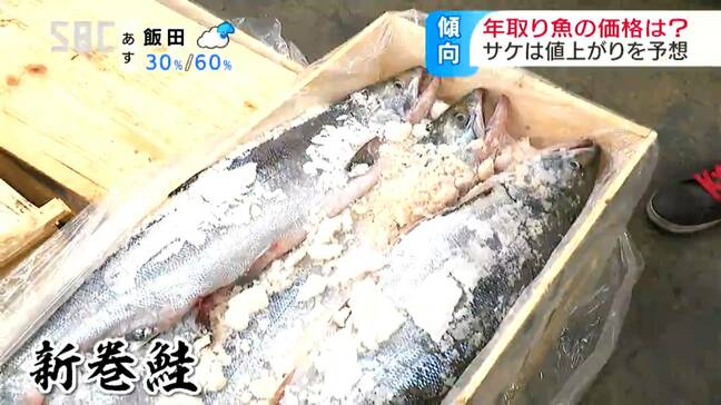 信州の年取りに欠かせないサケ…海水温の上昇で漁獲量減少⇒1匹1500～3000円の値上がりか…中南信で人気のブリの気になる値段は・・？|TBS NEWS DIG