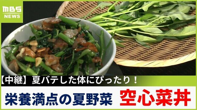 夏バテにきく栄養素がたっぷり!今が旬の「空心菜」で作る絶品丼 京都・久御山町【川地洋平の最旬!丼マン】|TBS NEWS DIG