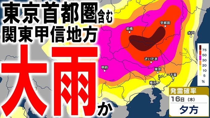 【大雨情報】東京首都圏含む関東甲信で「警報級の大雨」の恐れ…　“ゲリラ雷雨”か16日昼過ぎ～夜遅くにかけて　関東北部100ミリ・南部80ミリの24時間降水量予想も　発雷確率・雨風シミュレーション|TBS NEWS DIG