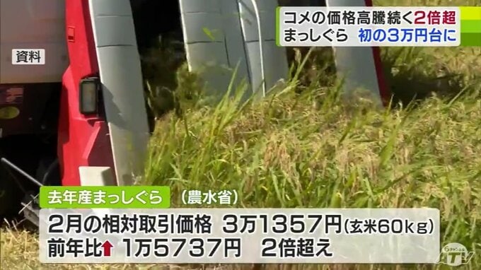 2024年秋に収穫された青森県産米「まっしぐら」相対取引価格が過去最高値　前年比２倍以上に　|　青森のニュース│ATV NEWS│青森テレビ