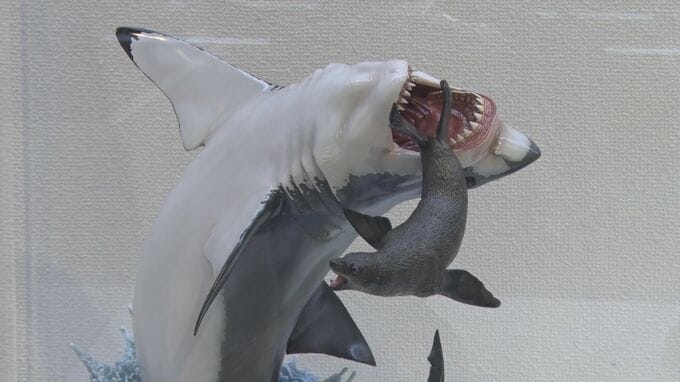 精巧な造形の数々　海洋堂フィギュア展|TBS NEWS DIG