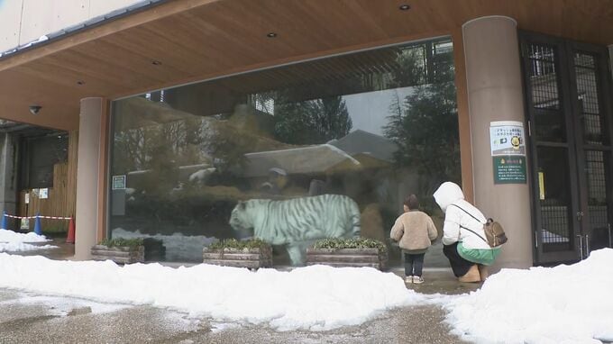 冬休みも残りわずか  動物園で今年の干支「午」にちなんだ特別イベント開催　|TBS NEWS DIG