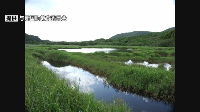与那国・樽舞湿原の保全を昆虫研究者らが訴える　有事想定の港湾建設予定地の一部　|TBS NEWS DIG
